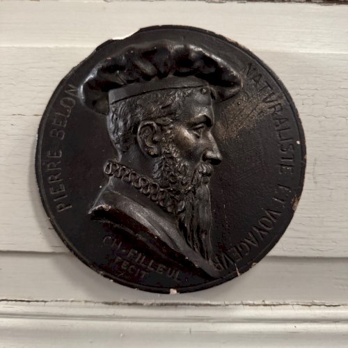 Médaillon tondo par Charles Filleul Pierre Belon naturaliste XXe M3547