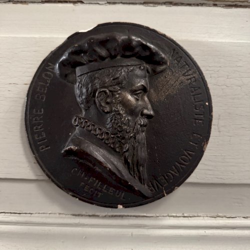 Médaillon tondo par Charles Filleul Pierre Belon naturaliste XXe M3547