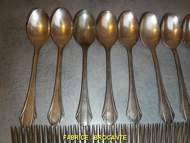 MENAGERE ERCUIS DE 36 PIECES