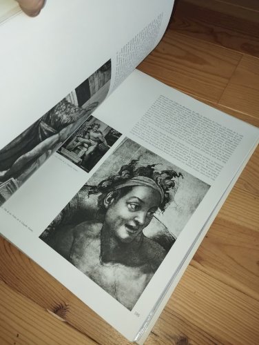 Michel-Ange – Peintre, sculpteur, architecte / L’artiste, sa pensée, l’écrivain  Lot de 2 ouvrages – Collectif