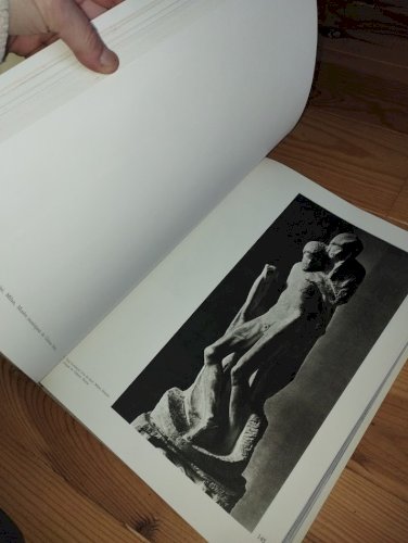 Michel-Ange – Peintre, sculpteur, architecte / L’artiste, sa pensée, l’écrivain  Lot de 2 ouvrages – Collectif