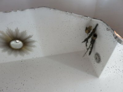 dot