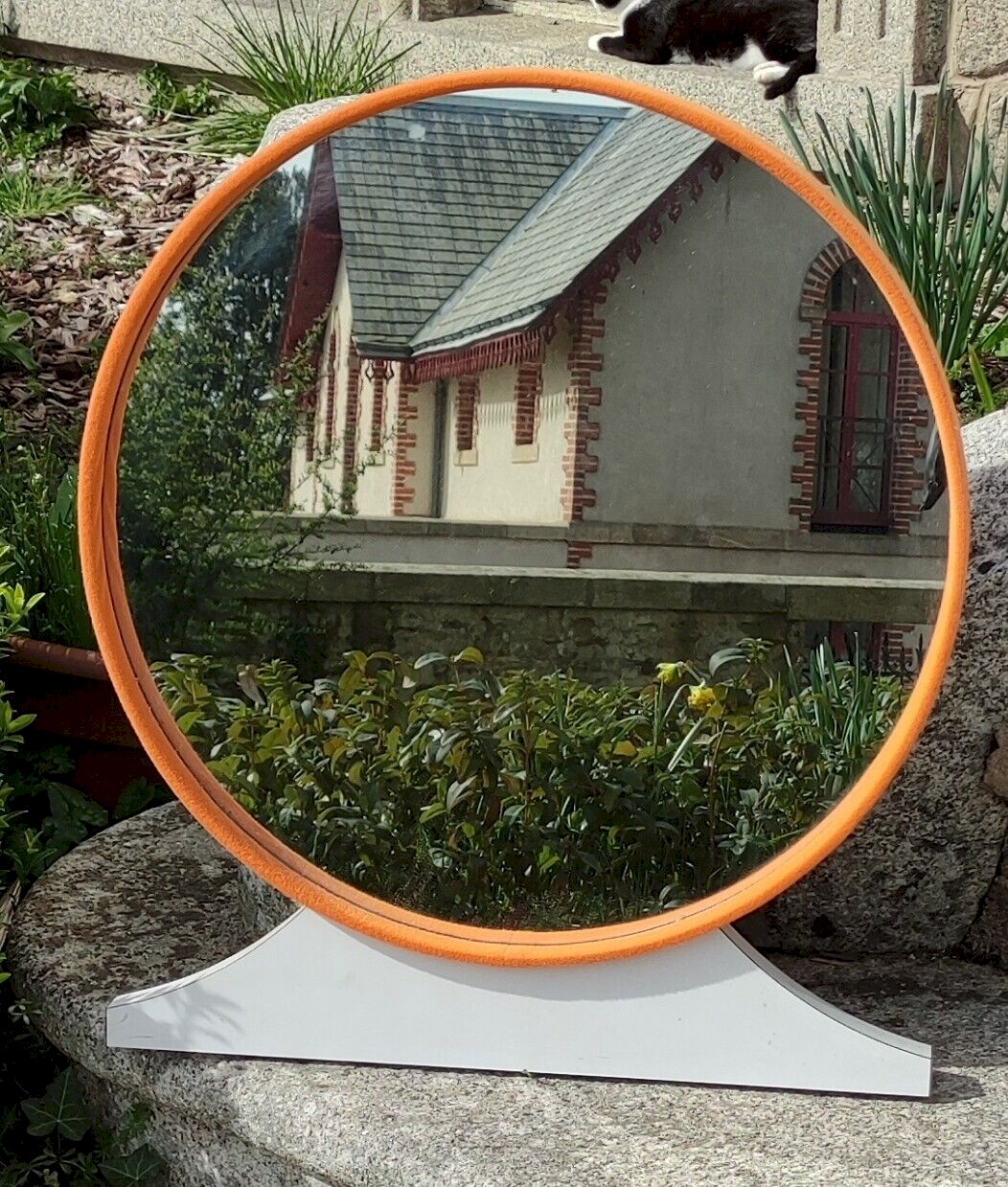 Lot 2 miroirs barbier vintage année 50/60 - Collection