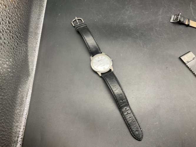 Montre Rodania titanium Quartz