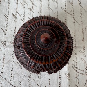 dot