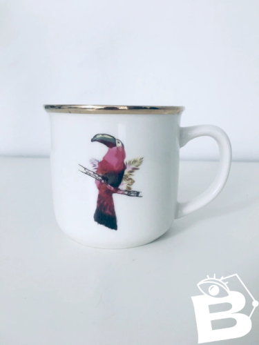 Mug toucan