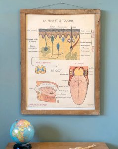 Nina, l'illustration d'apprentissage N°204