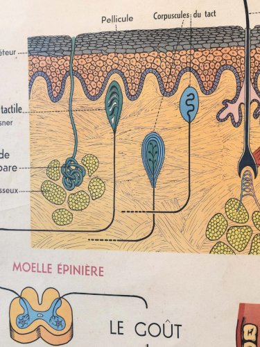 Nina, l'illustration d'apprentissage N°204