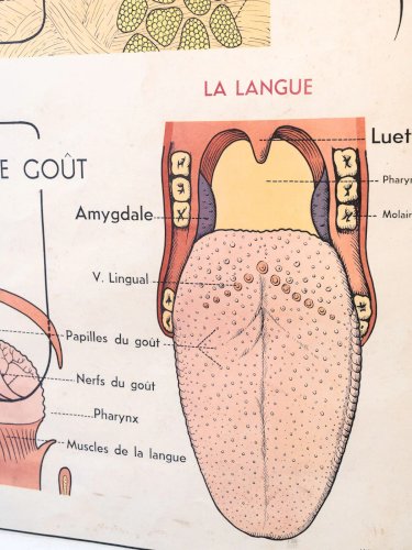 Nina, l'illustration d'apprentissage N°204
