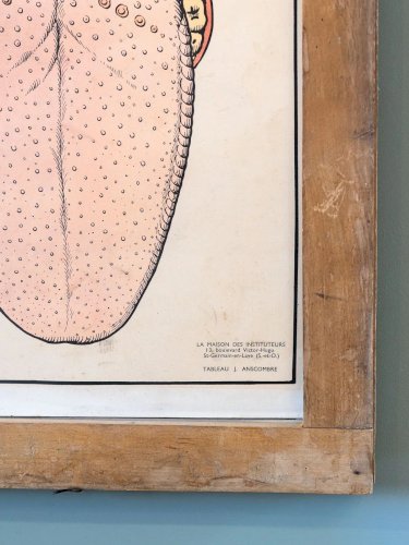 Nina, l'illustration d'apprentissage N°204