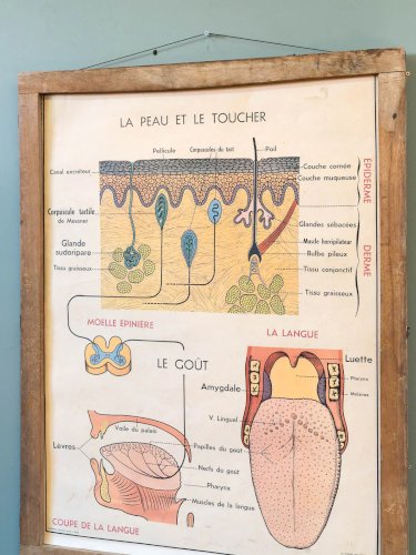 Nina, l'illustration d'apprentissage N°204
