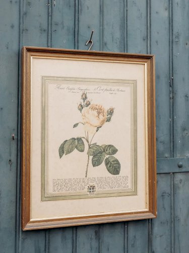 Nina, l'illustration encadrée dorée N°301