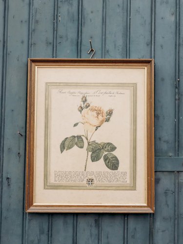 Nina, l'illustration encadrée dorée N°301