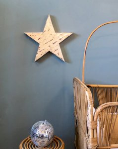 Noah, the metal star No. 2