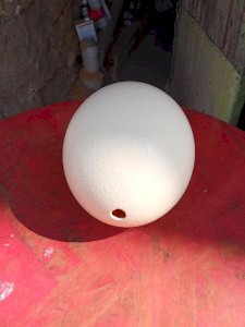 dot