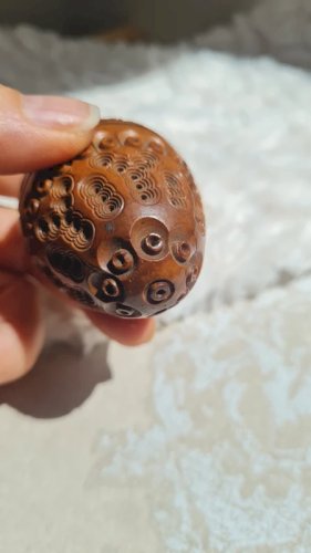 Œuf en noix corozo étui porte chapelet