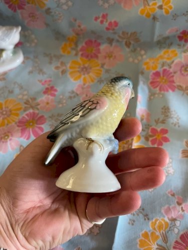 Oiseau porcelaine