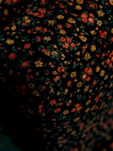 Olivia, la chauffeuse à motifs N°57