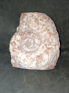 original pierre  marbre ? decor fossile en bon etat