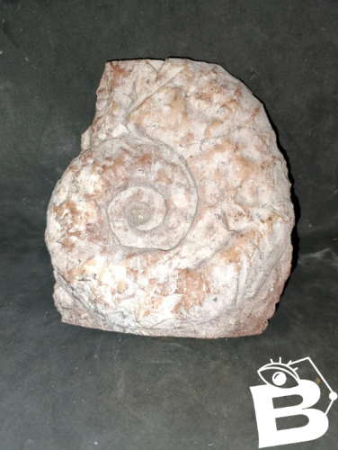 original pierre  marbre ? decor fossile en bon etat