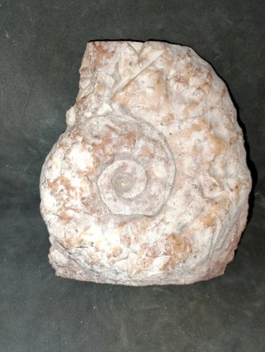 original pierre  marbre ? decor fossile en bon etat