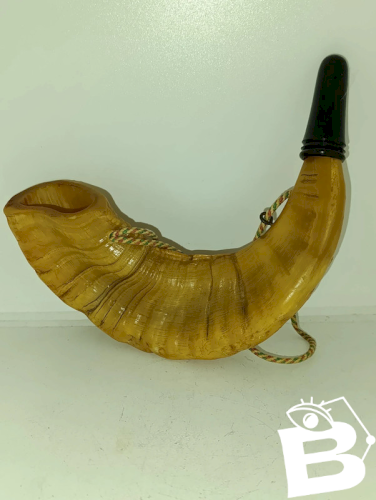 Original trompe de chasse en corne en bon etat