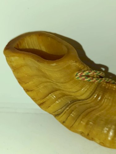 Original trompe de chasse en corne en bon etat