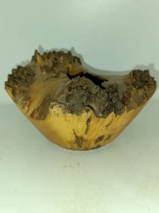 original sculpture in wood of poplar burl signed by Pierre Antoine in good condition