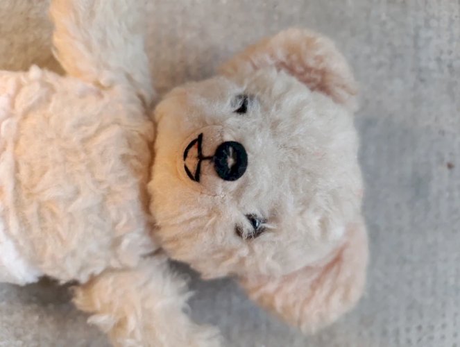 Ours en peluche ancien en état correct