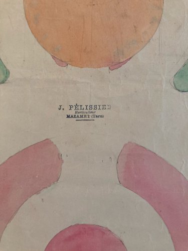 Painting Peinture 1930 Original Architecture Plan Jardin Tarn Old France Ancien