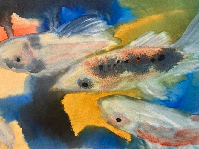 Painting Peinture 1980 Original Art Nouveau Gouache Papier Carpe Koï Poisson