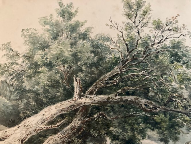 Painting Peinture Gouache Papier XIXe Romantisme Paysage Arbre Riviere Old Art