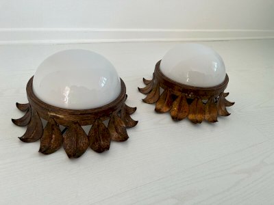 dot