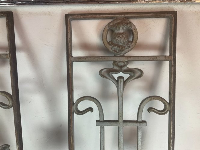 Paire d Ancienne grille art nouveau décor de chardon , en fonte XIXéme