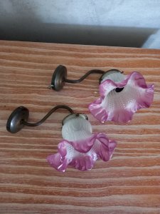 Paire d'anciennes applique tulipe col cygne