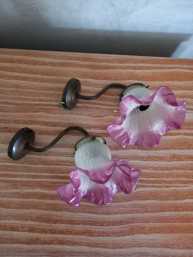 Paire d'anciennes applique tulipe col cygne