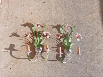Pair of wall sconces with plant decoration