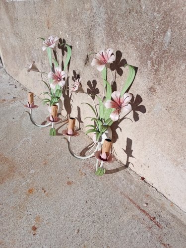 Paire dappliques a décor végétal 