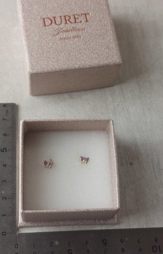 Paire de boucles doreilles, papillon, en or 9K