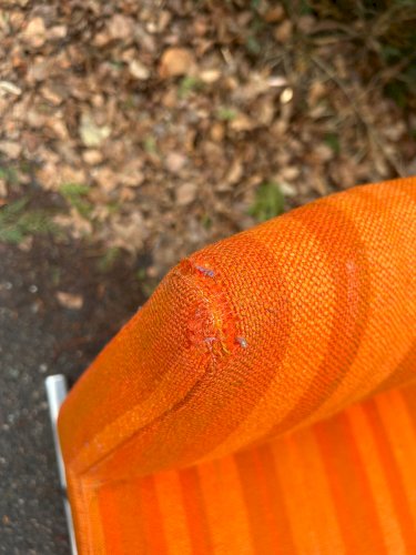 Paire de chaises Georges Frydman