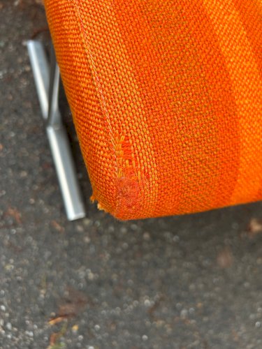 Paire de chaises Georges Frydman