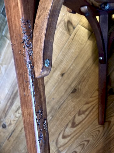 Paire de chaises vintage Stella – bois, années 1950