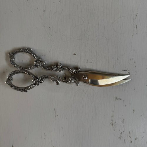 Paire de ciseaux à raisin en argent fin XIXe M3626
