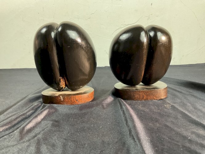 Paire de Coco fesse en bois pour cabinet de curiosité Seychelles ( rasé ou pas )