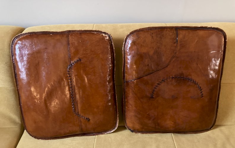 Paire de coussins en cuir laqué à décor de héron et de feuillage - Vietnam début XXe 