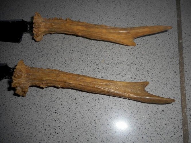 PAIRE DE COUTEAUX MANCHE CORNE DE CHEVREUIL
