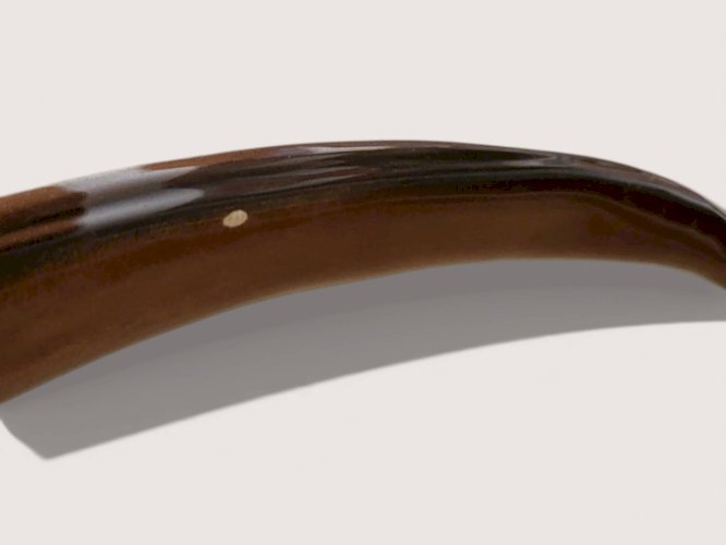 Paire de faisans en céramique