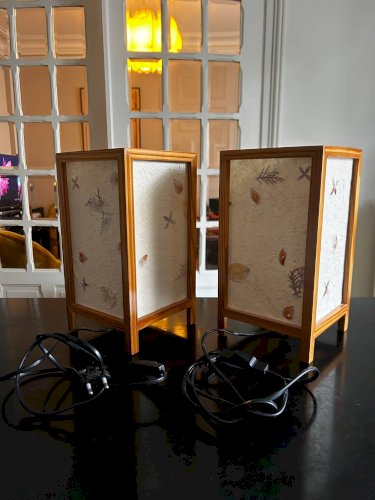 Paire de lampes en fleurs séchées, 1970