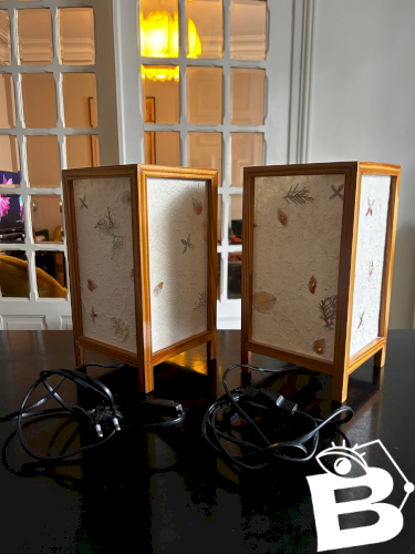 Paire de lampes en fleurs séchées, 1970