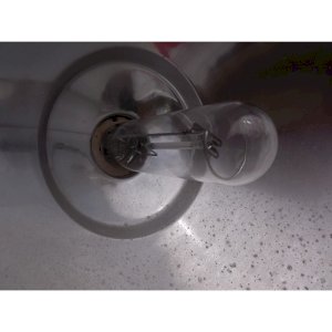 dot